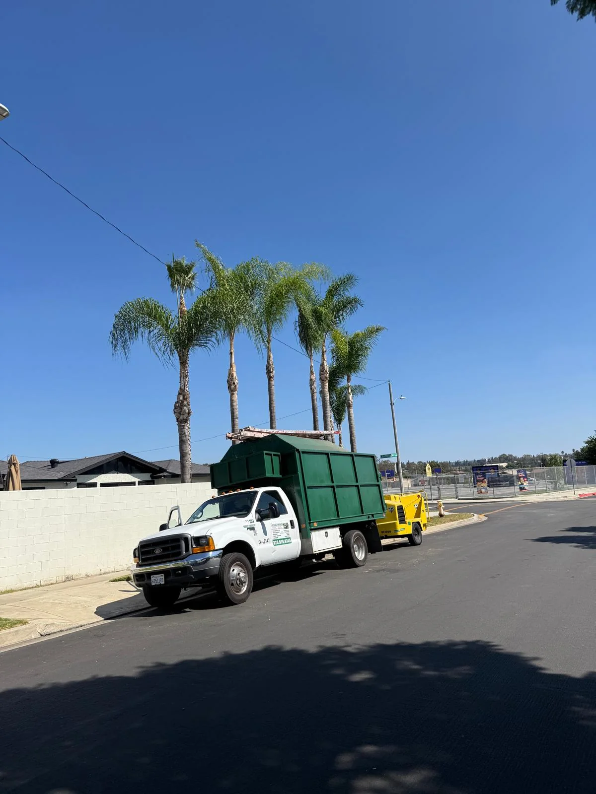Street palms trimmed along a residential block