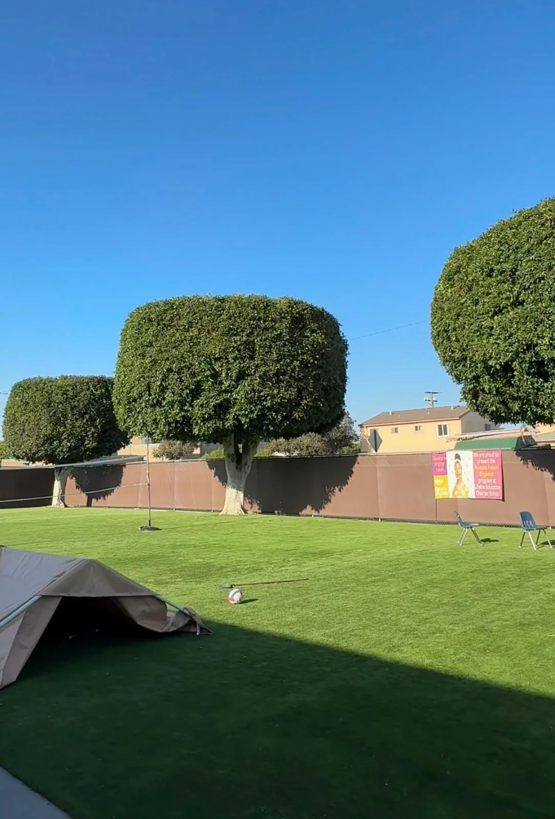 Tree Trimming & Thinning